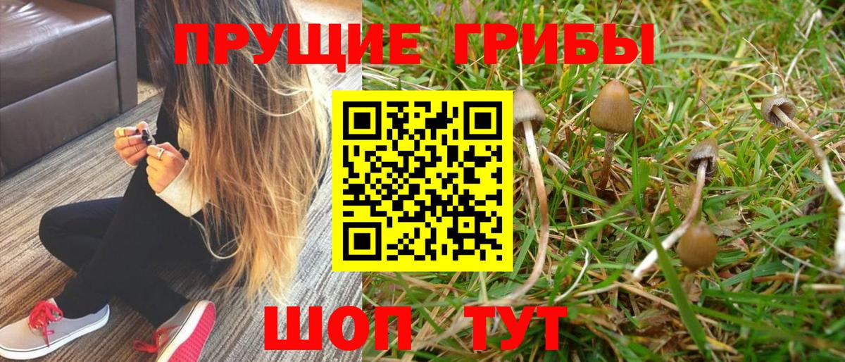 Псилоцибиновые грибы прущие грибы  Вход с VPN  Псилоцибиновые грибы Magic Shrooms  Грязи 
